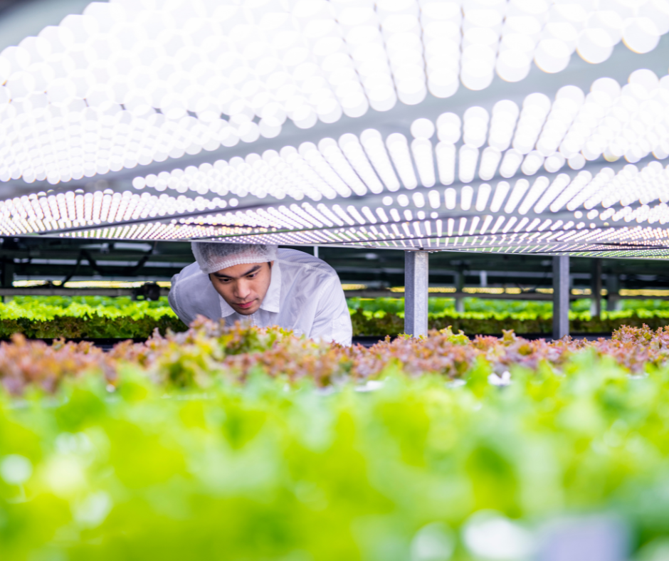 AGRI - FOOD PILOT PROGRAM AGRI - FOOD PILOT PROGRAM